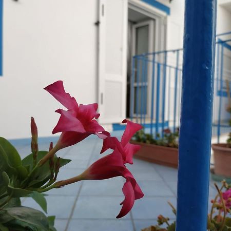Scala Blu - Immobilevante Ponza Kültér fotó